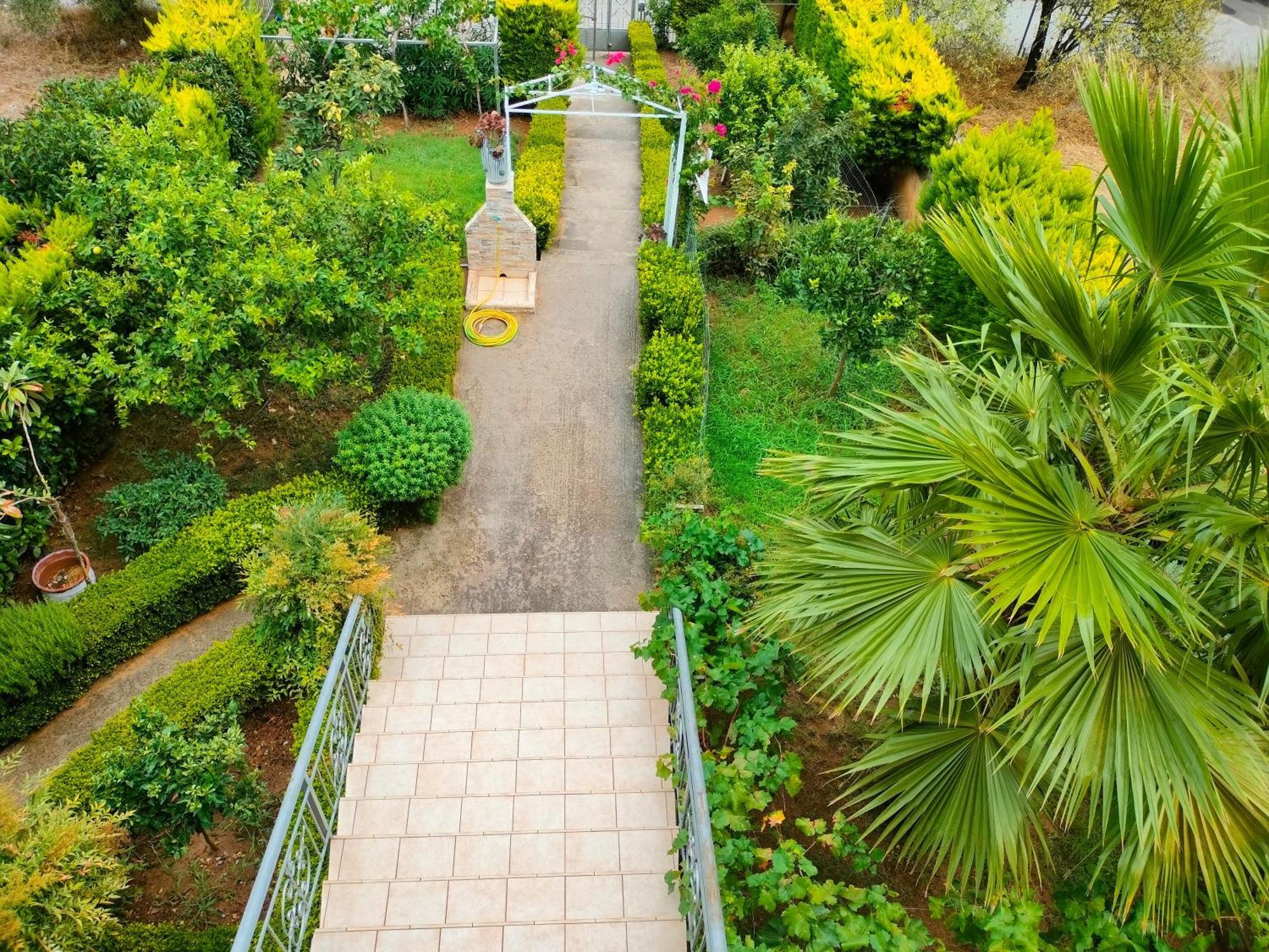 Apartamento House With Wonderful View Lefkandi Chalkidas Exterior foto