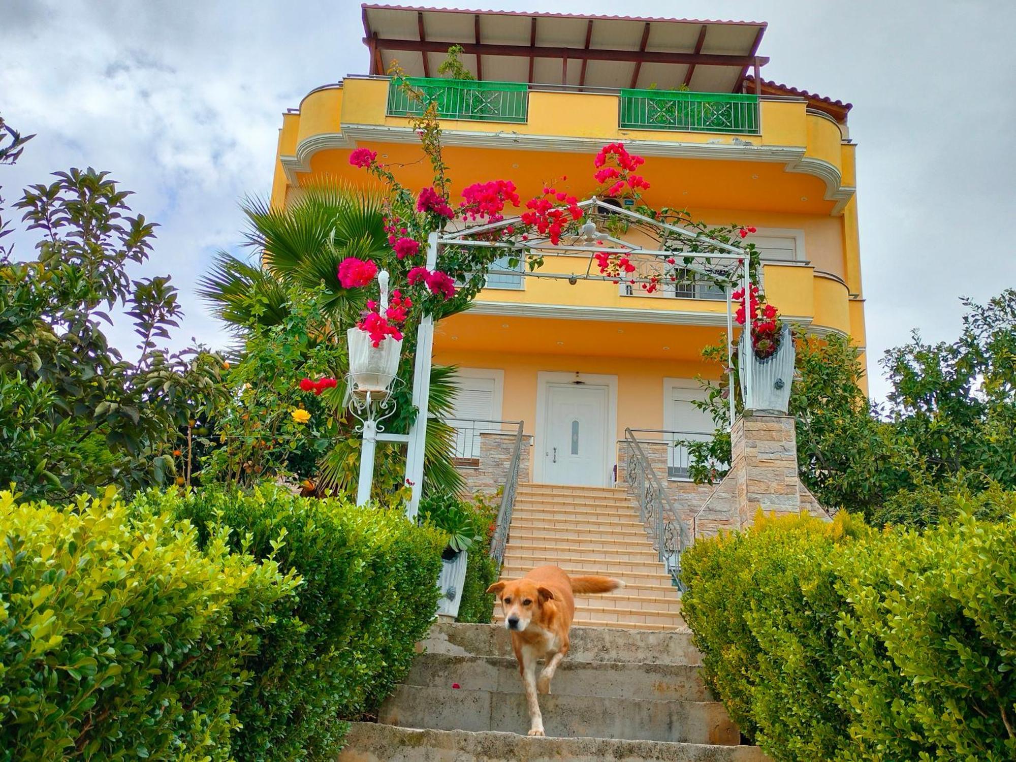 Apartamento House With Wonderful View Lefkandi Chalkidas Exterior foto